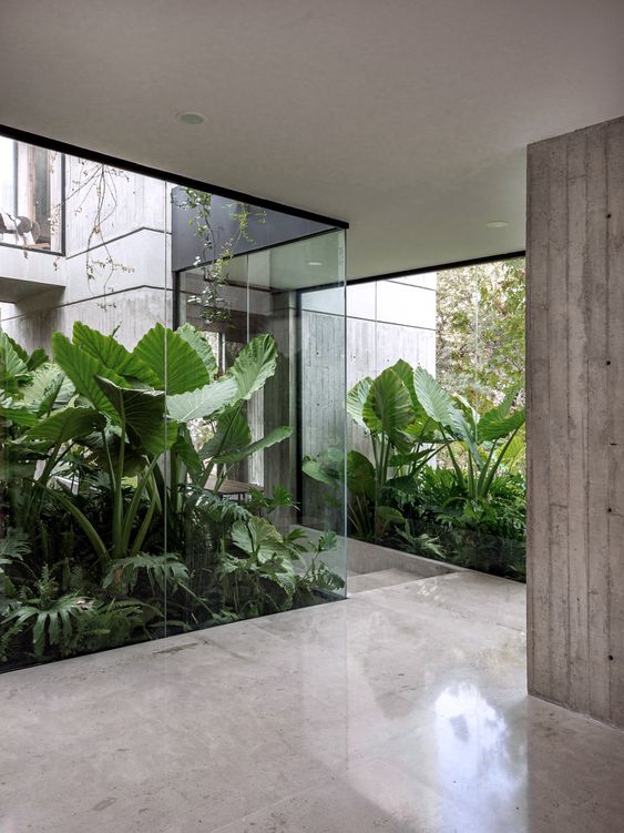Pencahayaan Desain Rumah Tropis Minimalis Modern